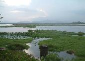 Freshwater wetland, Sri Lanka